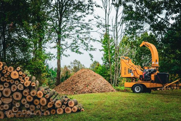 Daves Tree Removal Inc.