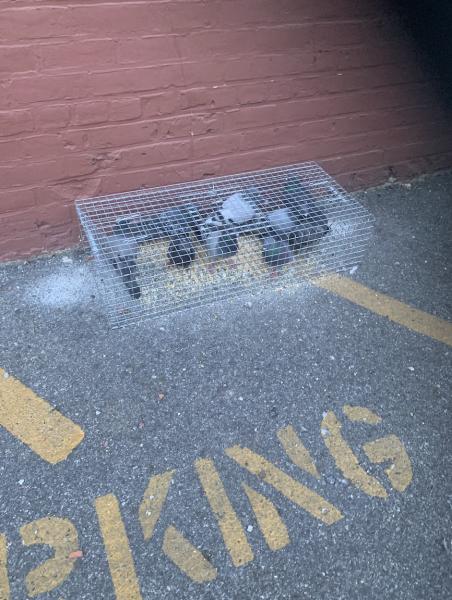 Magic Touch Exterminating and Wildlife Control