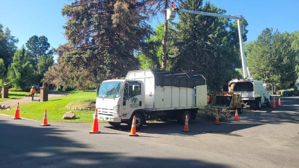 Canales Tree Service LLC