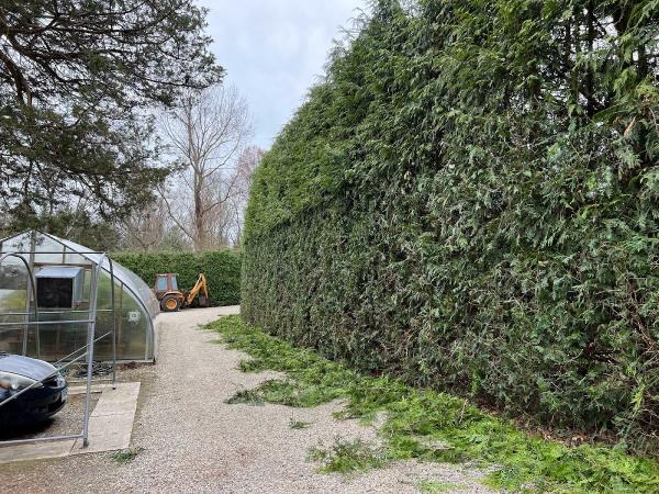 Leonel and Sons Landscaping