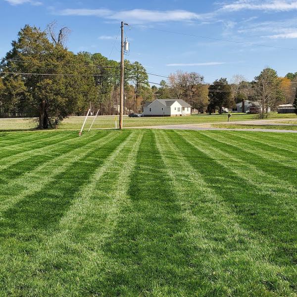 Picture Perfect Lawn Maintenance