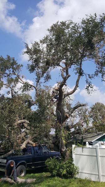 Dunaway's Lawn and Tree Care