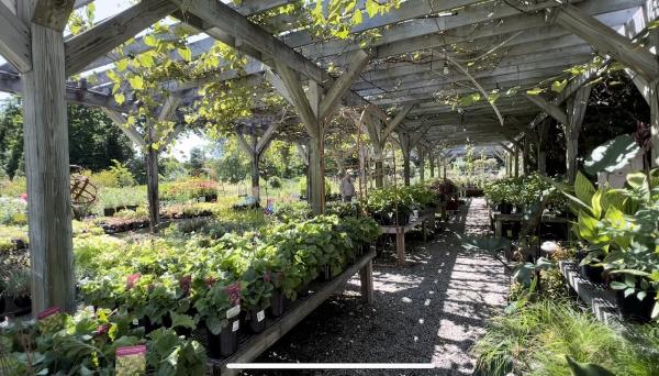 Scott's Landscaping & Nursery