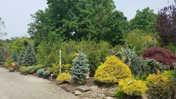 Scott's Landscaping & Nursery