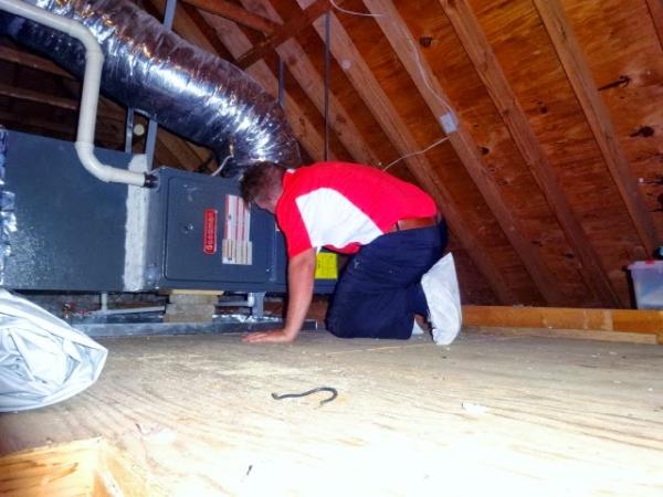 Preis Commercial & Home Inspections