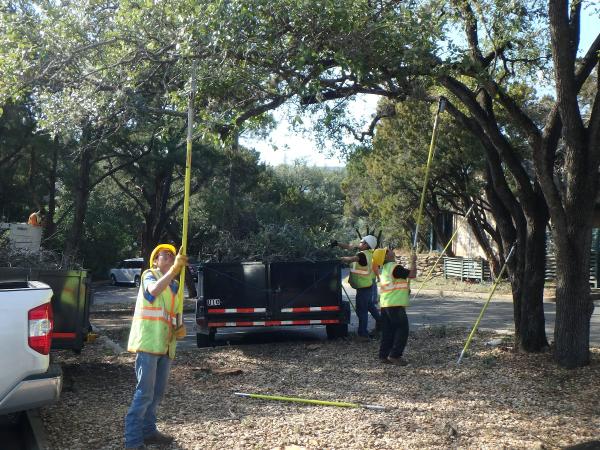 Garcia's Tree Trimming