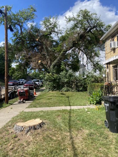 Hutson Tree Service