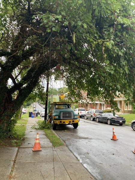 Hutson Tree Service