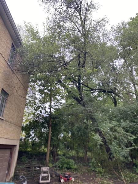 Hutson Tree Service