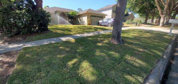 South Lake Lawn Care