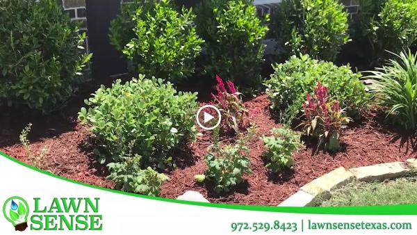 Lawn Sense