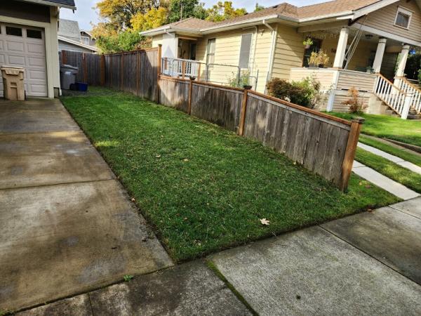 L. Gu Trees and Beyond LLC