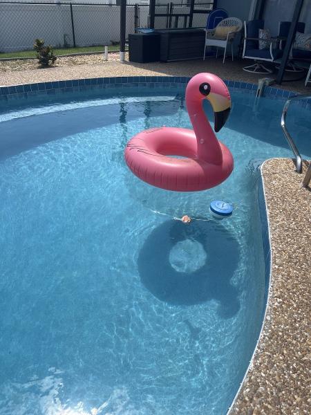 Pelican Pools Service and Repair