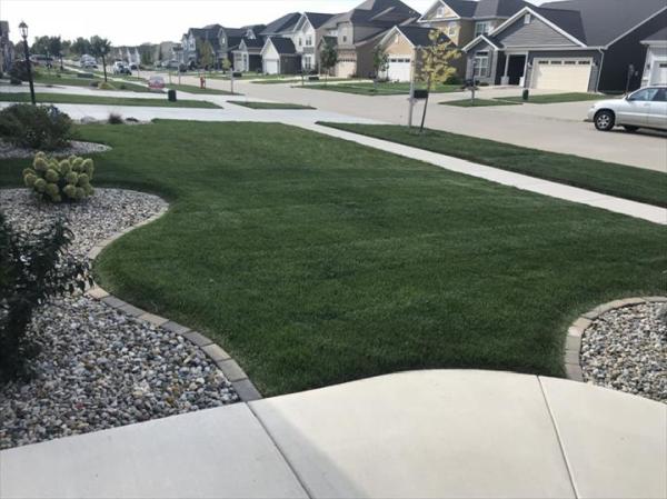 Flores Landscaping & Mowing Service