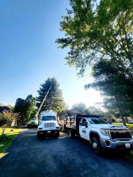 J & B Tree Services LLC