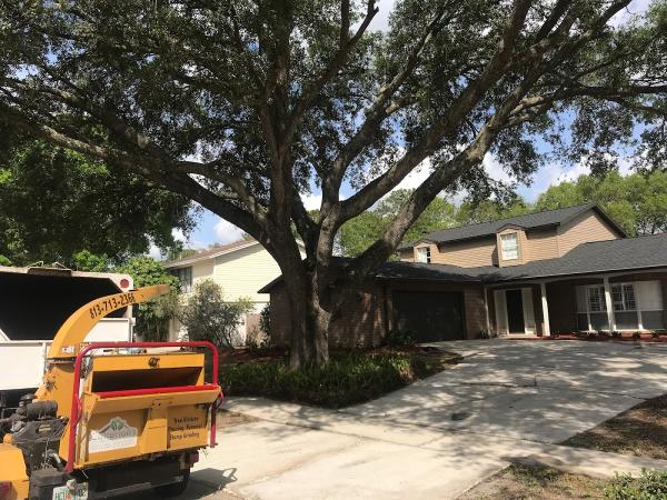 Catterton's Property Maintenance