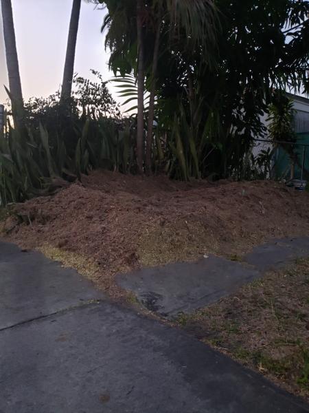 Discount Tree Services Miami