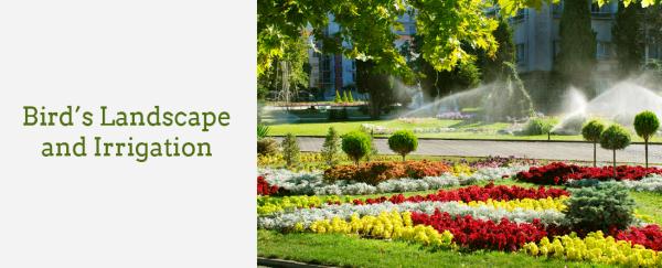 Bird's Landscape and Irrigation LLC