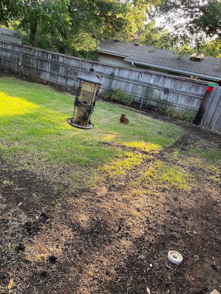 Bird's Landscape and Irrigation LLC