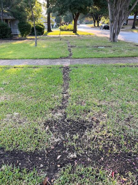 Bird's Landscape and Irrigation LLC