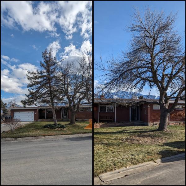 Oaklynd Tree Service LLC