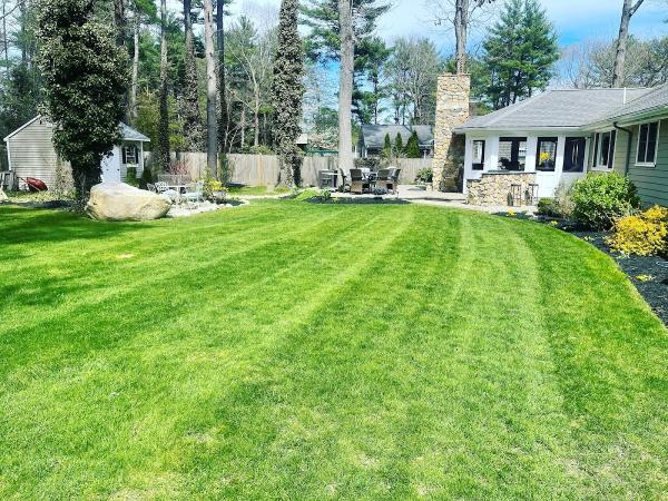Brace Lawn Care