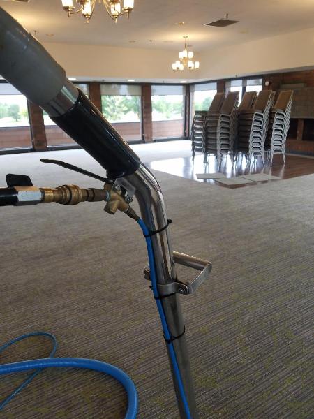 Freddy's Carpet Cleaning Plus
