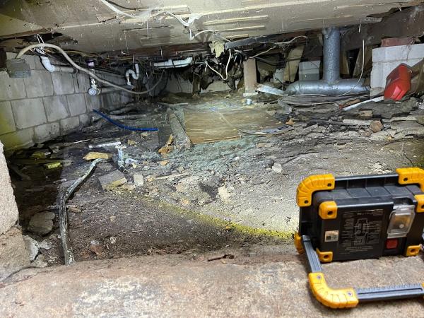 Alpha Mold Inspectors