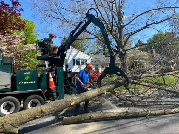 Doug's Tree Service