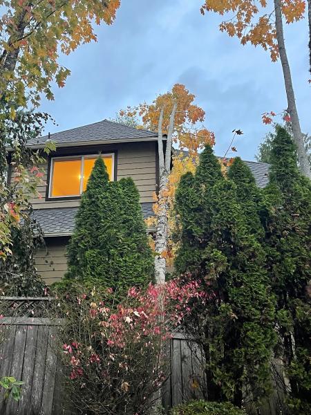 Thornhill Tree Care