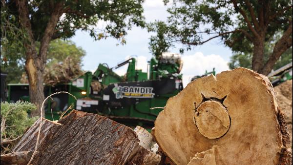 N&D Tree & Crane Services