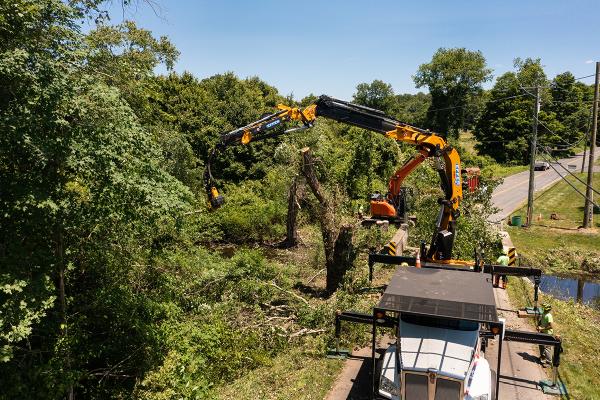 Southbury Tree Service