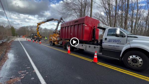 Southbury Tree Service