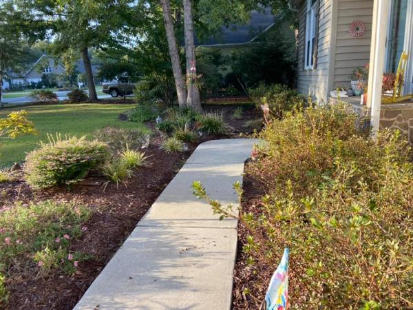 Jt's Exterior Cleaning
