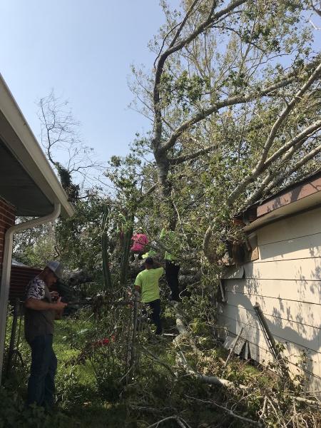 ACI Tree Removal & Land Clearing