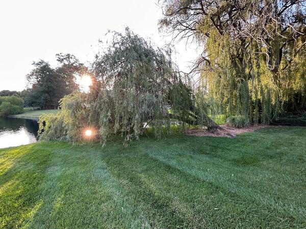 Maher Tree Service LLC
