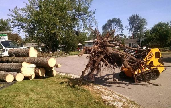 Lagunas Tree Service Inc