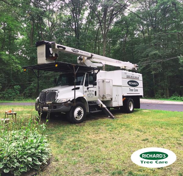 Richard's Tree Care
