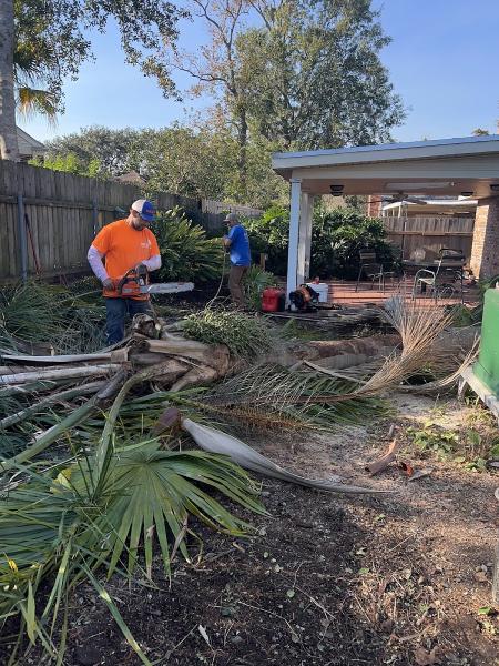 Rouses Tree & Landscaping Services