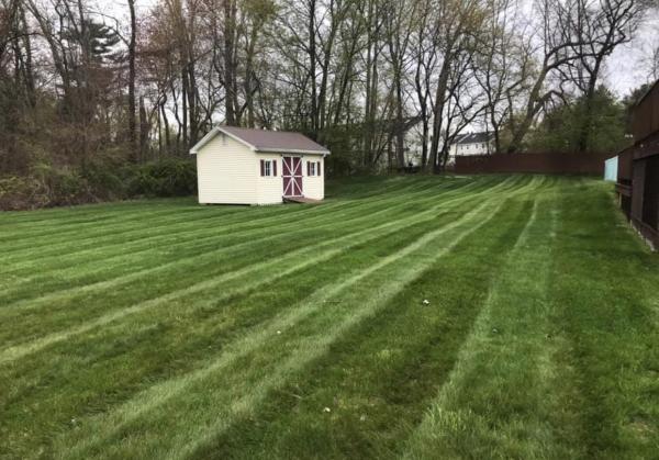 Macneill Landscaping