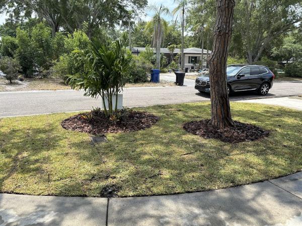 Cds Landscaping