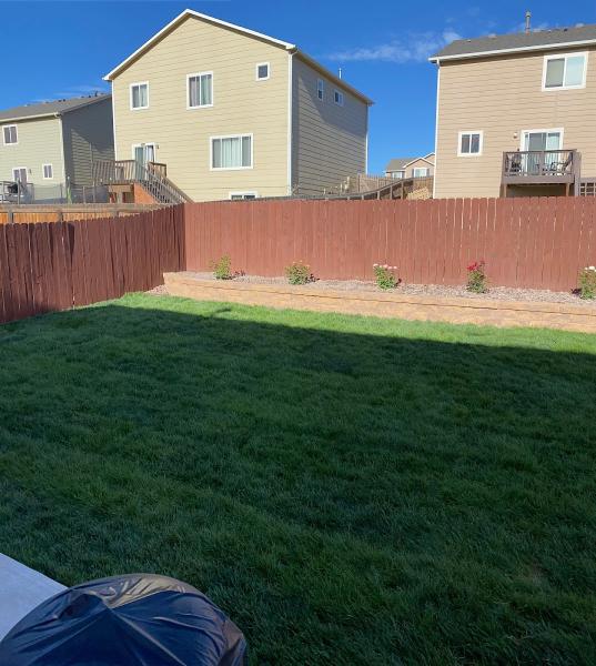 Edge Landscape and Design