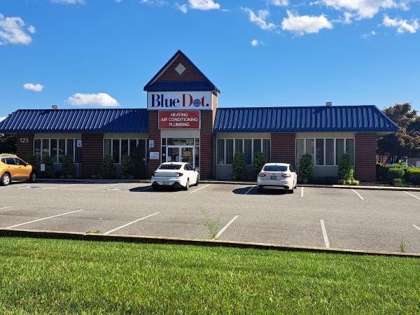 Blue Dot Services