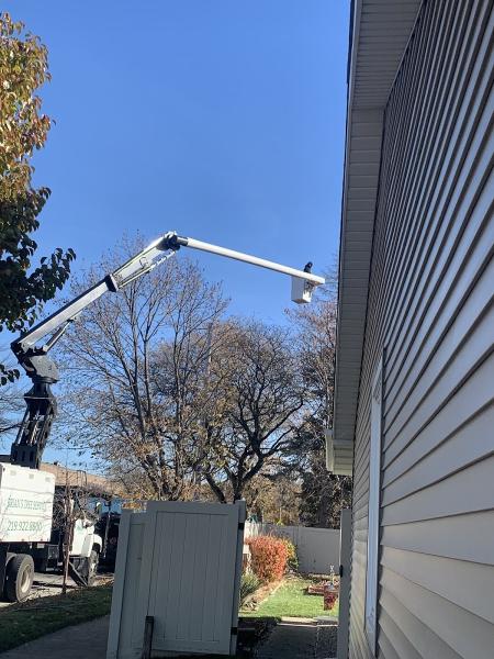 Brian's Tree Service