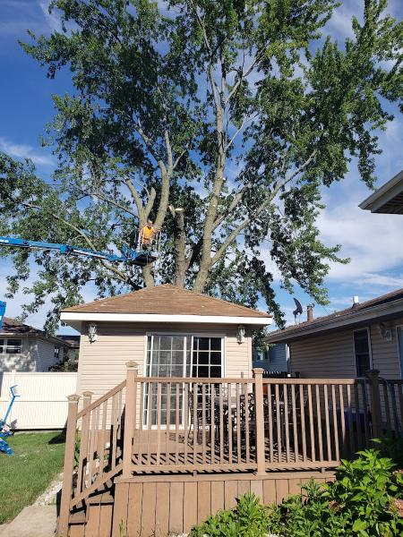 Brian's Tree Service