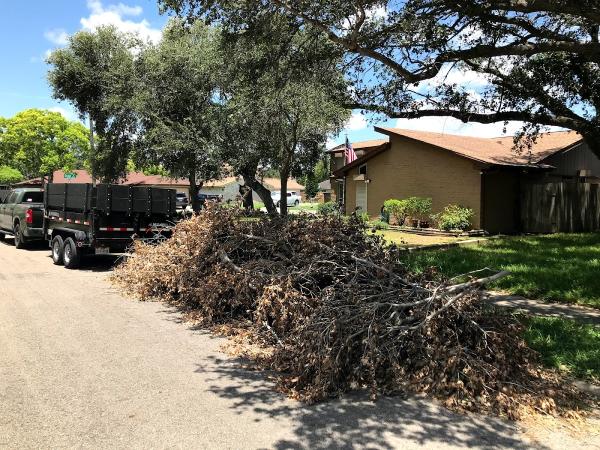 Life After Junk Removal