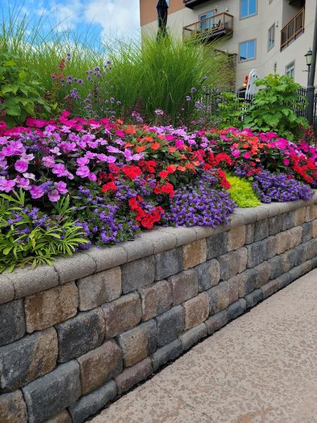 Morris Nursery and Landscapes