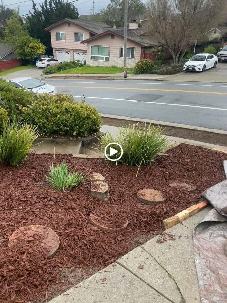 Mighty Will's Gardening