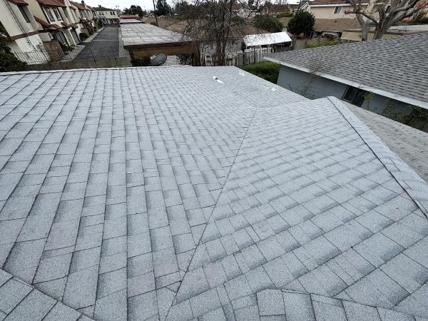 Semilla De Mostaza Roofing