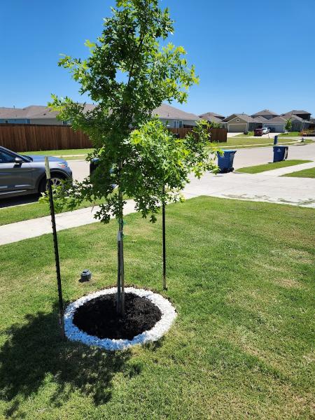 A.M. Lawn Pros